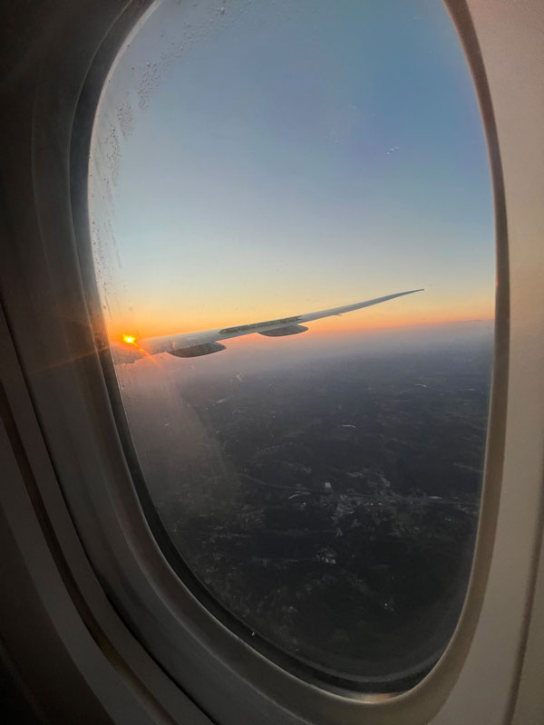 flight Inês